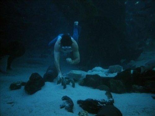 Fantasy Island Season 2 Episode 14 - Seance / The Treasure