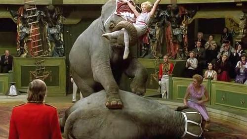 Zirkus Humberto Season 1 Episode 7 - Competition