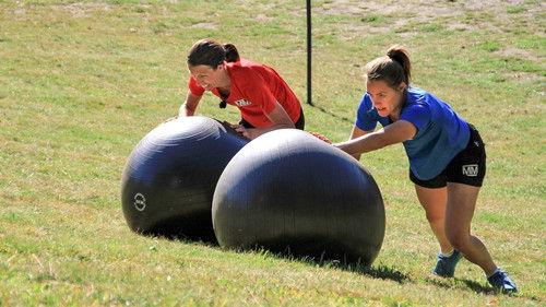 Mesternes mester Season 12 Episode 6 - Episode 6