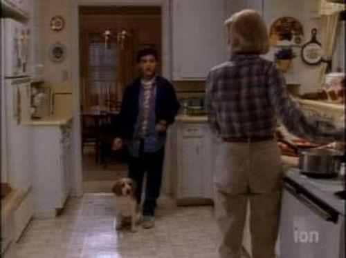 The Wonder Years Season 4 Episode 15 - Buster