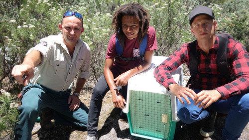 Bushwhacked! Season 3 Episode 10 - Wolf Spider