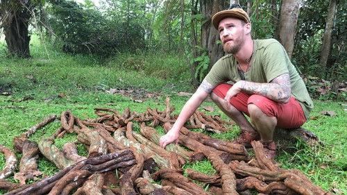 Foreign Correspondent Season 26 Episode 1 - It Doesn't Happen To People Like Me