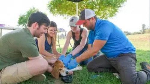 The Wizard of Paws Season 5 Episode 10 - Derrick Versus L.A