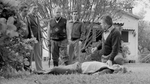 Variaciones Walsh Season 1 Episode 5 - Episode 5