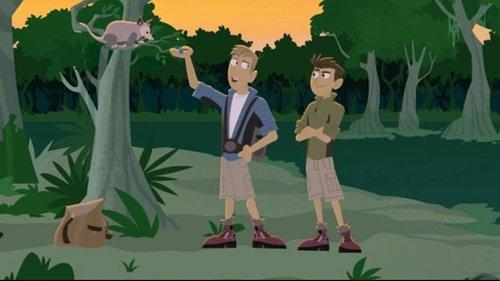 Wild Kratts Season 3 Episode 15 - Opossum in My Pocket