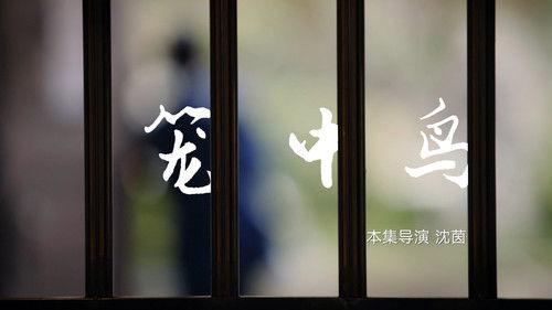 Life Matters Season 2 Episode 6 - Episode 6