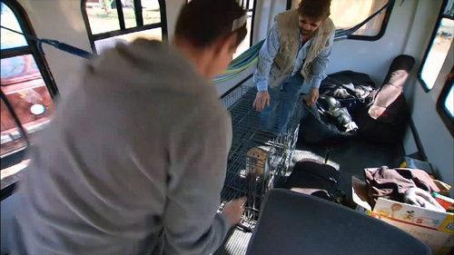 Shipping Wars Season 4 Episode 1 - Monkey Business