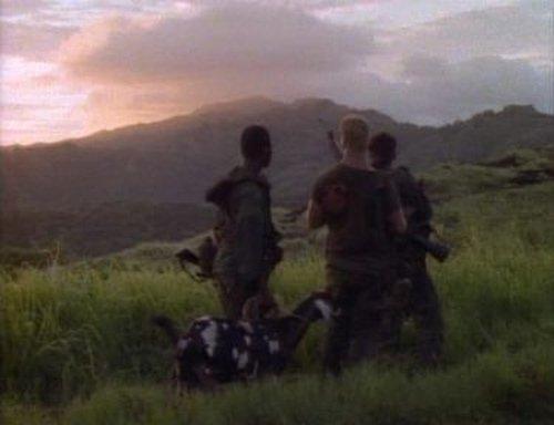 Background image for Brothers, Fathers and Sons