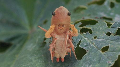 Fuet Season 1 Episode 9 - Episode 9