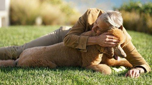 The World According to Jeff Goldblum Season 2 Episode 1 - Dogs