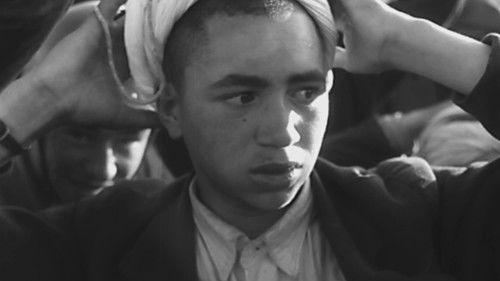 Background image for Terror and Guerrilla Warfare