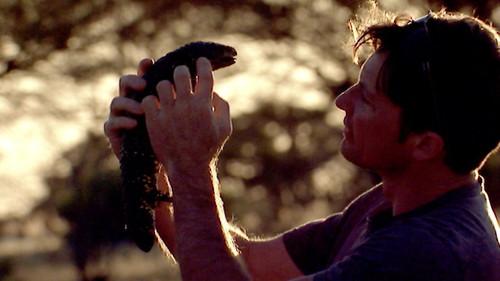 Catalyst Season 16 Episode 18 - A Life Without Males