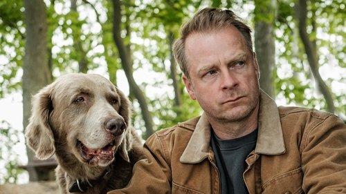 Nord bei Nordwest Season 1 Episode 22 - Episode 22