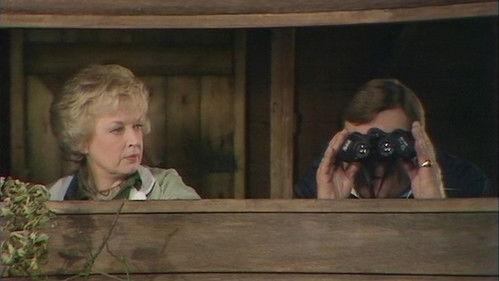 Terry and June Season 6 Episode 4 - Strictly For The Birds