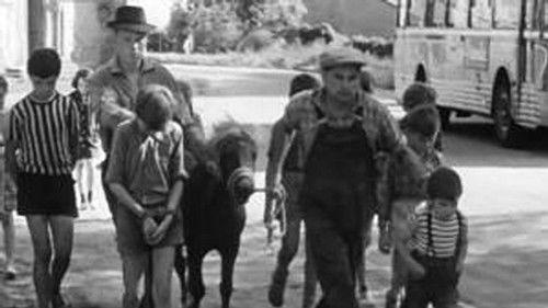 Poly Season 1 Episode 13 - Episode 13