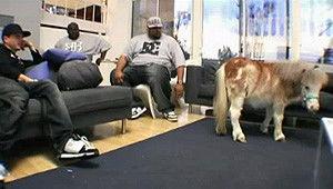 Rob & Big Season 2 Episode 1 - Meaty & Mini