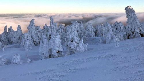 Wild Germany Season 8 Episode 2 - Episode 2