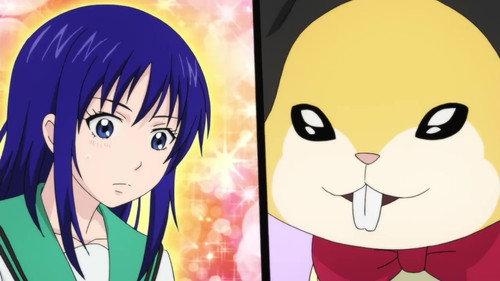 undefined Season 2 Episode 5 - Rematch! Rifuta vs Teruhashi + Gifts of the Magi + The Lost Hamster with a Kansai Dialect + The Transient Miniature Animal + Massage Disaster