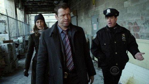 Blue Bloods Season 1 Episode 17 - Silver Star