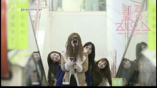 BLACKPINK HOUSE Season 1 Episode 37 - (BLACKPINK HOUSE)’ EP.8-2