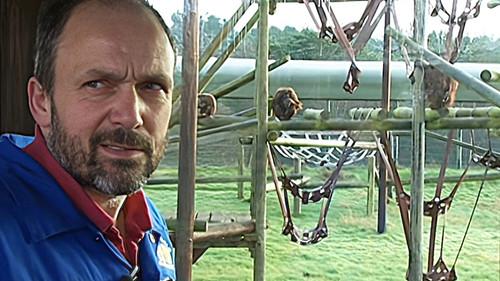 Monkey Business Season 6 Episode 14 - Episode 14