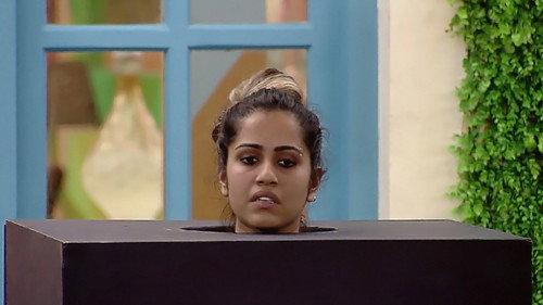 Bigg Boss Season 1 Episode 20 - Day 19: Ranjini, Guilty as Charged!