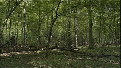 Background image for Episode 2