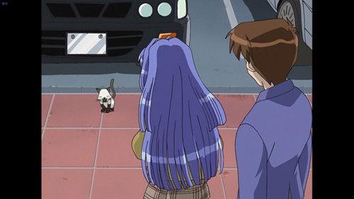 Background image for The Fox and the Grapes