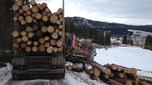 Background image for Fishy Business