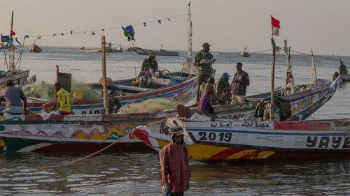 Foreign Correspondent Season 31 Episode 20 - Poachers' Paradise