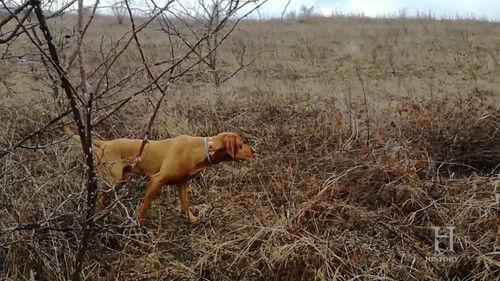 The Proof Is Out There Season 2 Episode 6 - Solar Spaceship & Invisibility Cloak