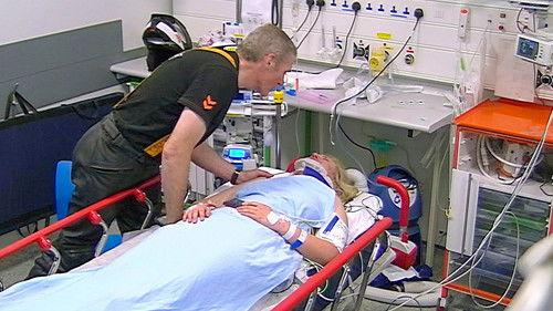 Background image for In Safe Hands