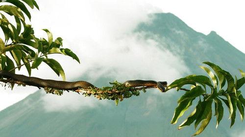 Wild Hunters Season 1 Episode 3 - Snakes