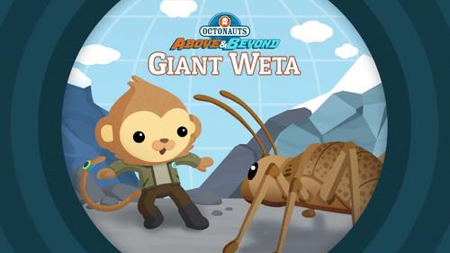 Octonauts: Above & Beyond Season 1 Episode 17 - The Octonauts and the Giant Weta