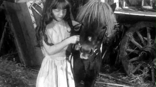 Poly Season 4 Episode 12 - Episode 12