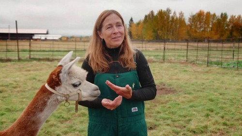 Dr. Oakley, Yukon Vet Season 9 Episode 6 - The Very Hungry Reindeer