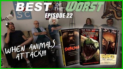 Best of the Worst Season 1 Episode 22 - Shakma, Python II, and Beaks: The Movie