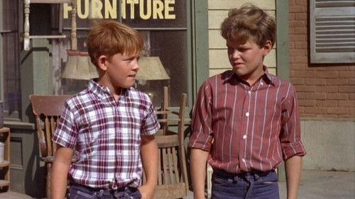 The Andy Griffith Show Season 6 Episode 1 - Opie's Job