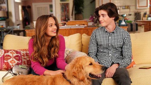American Housewife Season 5 Episode 12 - How Oliver Got His Groove Back