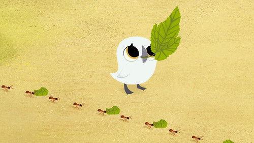 Puffin Rock Season 3 Episode 7 - Bug Bug Buggies