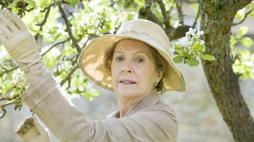 undefined Season 5 Episode 4 - Episode 4