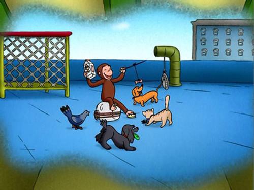 Curious George Season 1 Episode 53 - The All-Animal Recycled Band