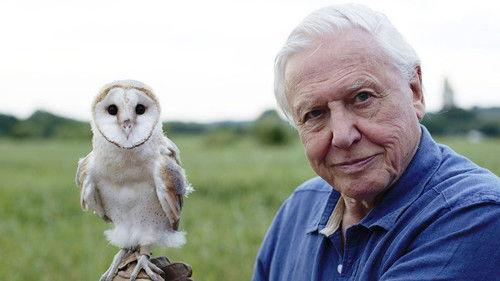 David Attenborough's Conquest of the Skies Season 1 Episode 3 - Triumph