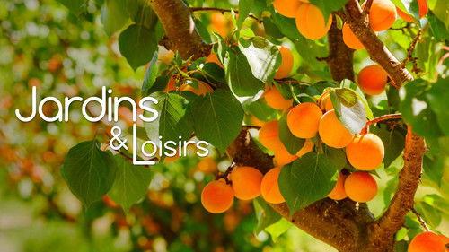 Jardins & Loisirs Season 25 Episode 14 - Episode 14