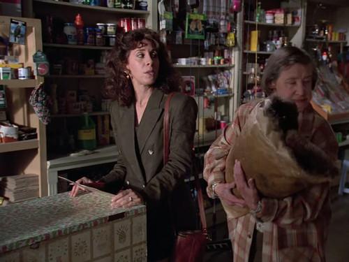 Northern Exposure Season 5 Episode 5 - A River Doesn't Run Through It