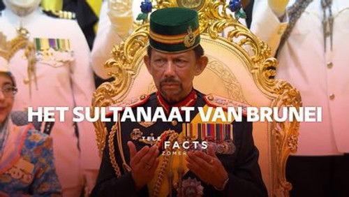 Telefacts Zomer Season 1 Episode 15 - Episode 15