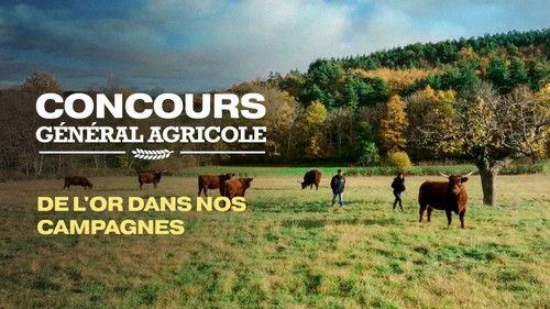 Le Doc du dimanche Season 17 Episode 9 - Episode 9