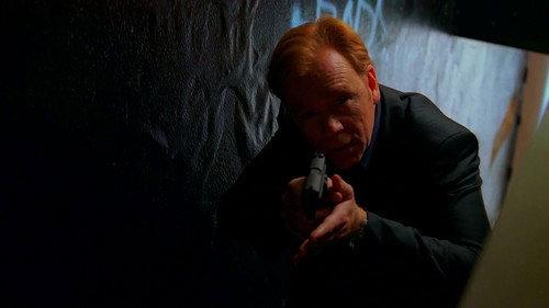 CSI: Miami Season 7 Episode 20 - Wolfe In Sheep's Clothing