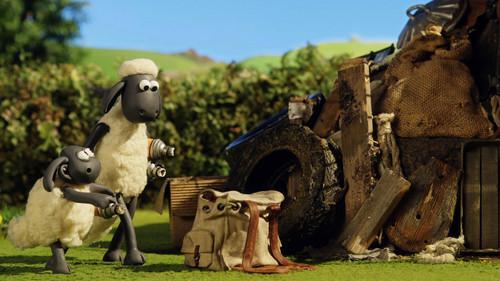 Shaun the Sheep Season 3 Episode 6 - The Crow