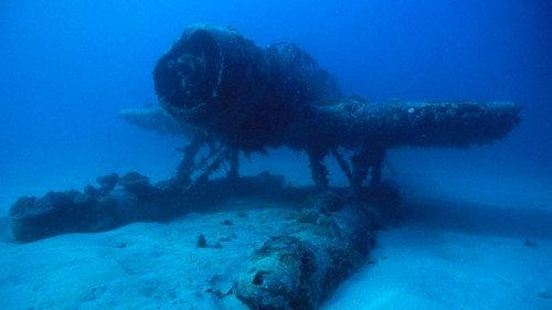 Nature Season 21 Episode 14 - War Wrecks in the Coral Seas